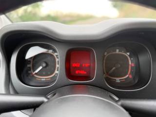 FIAT Panda usata, con Servosterzo