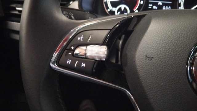 SKODA Kamiq usata, con Sensore di luce