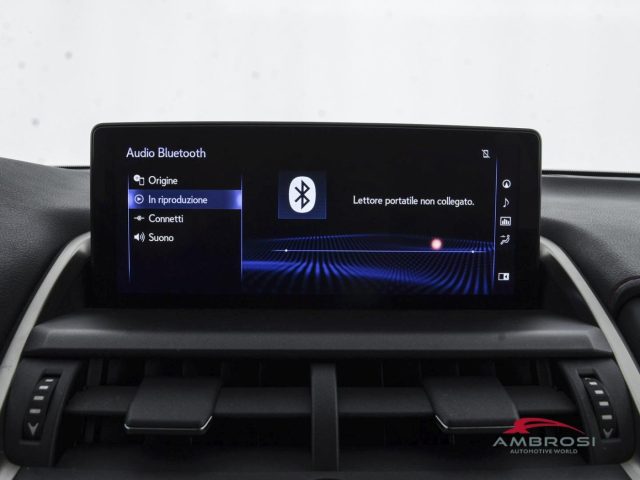 LEXUS NX 300h usata 14