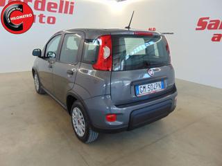 FIAT Panda usata, con Immobilizzatore elettronico