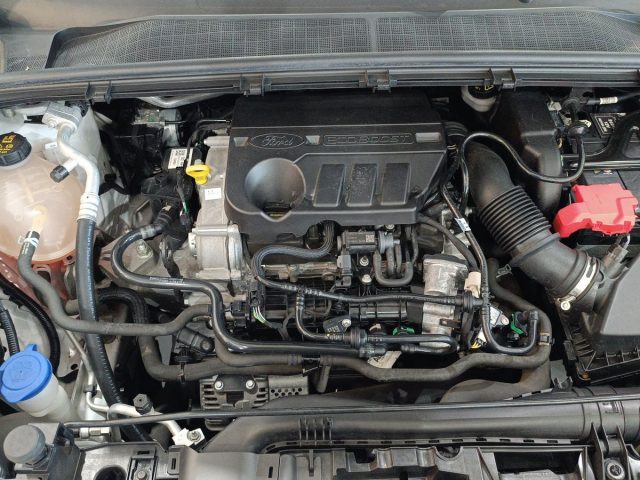 FORD Puma usata, con Sensori di parcheggio posteriori