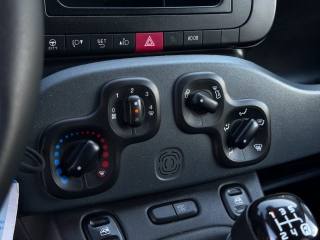 FIAT Panda usata 12