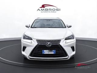 LEXUS NX 300h usata 6