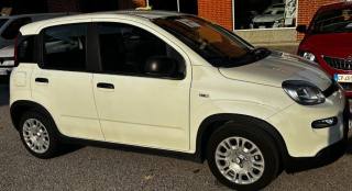 FIAT Panda usata, con Airbag Passeggero