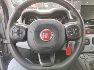 FIAT Panda usata, con Cruise Control