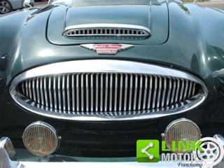 AUSTIN Healey usata 25
