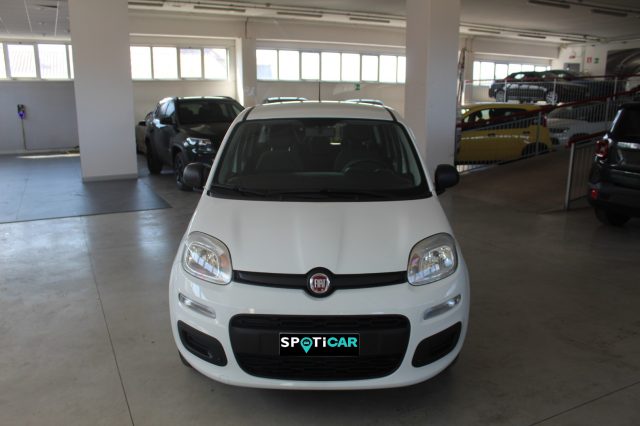 FIAT Panda usata, con Airbag