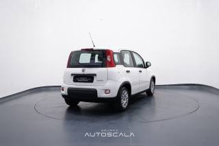 FIAT New Panda usata, con Autoradio