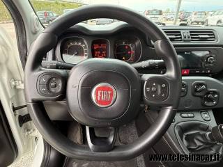 FIAT Panda usata 14