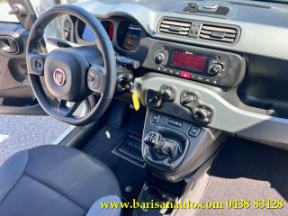 FIAT Panda usata, con Controllo trazione
