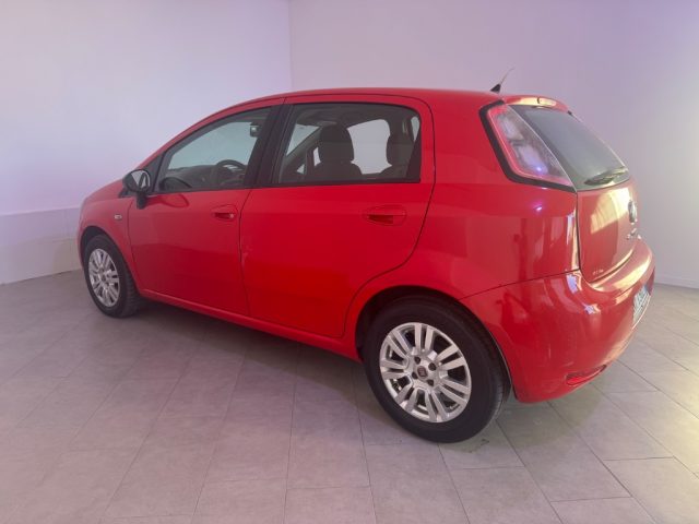 FIAT Punto usata 18