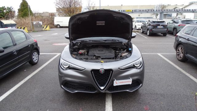 ALFA ROMEO Stelvio usata 130