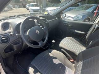 FIAT Punto usata, con Servosterzo
