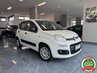 FIAT Panda usata, con Airbag Passeggero