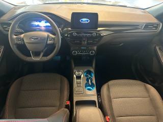 FORD Kuga usata, con Cronologia tagliandi