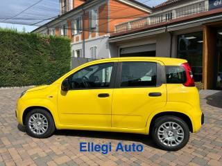 FIAT Pandina usata, con Immobilizzatore elettronico