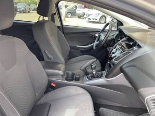 FORD Focus usata 13
