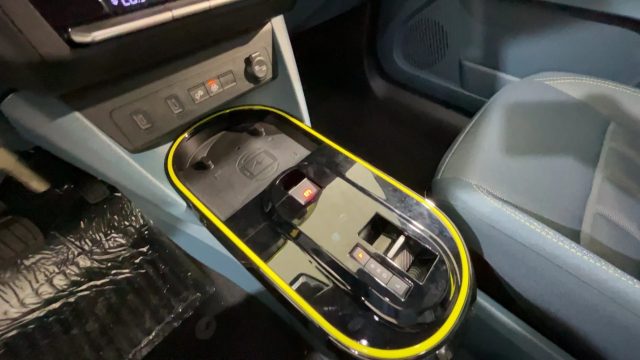 FIAT Grande Panda usata, con Servosterzo