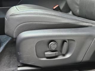LAND ROVER Range Rover Evoque usata, con Interni in pelle
