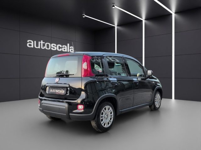 FIAT Panda usata, con Chiusura centralizzata
