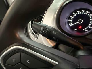 FIAT 500L usata 19