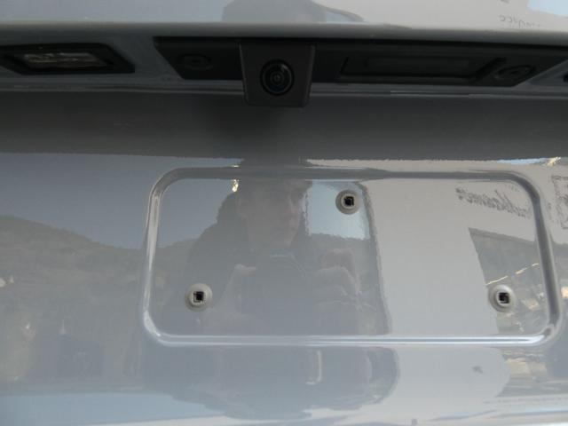 JEEP Avenger usata, con Leve al volante