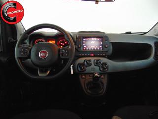 FIAT Panda usata, con Servosterzo