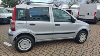 FIAT Panda usata 22