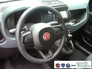 FIAT Panda usata, con Sensore di pioggia