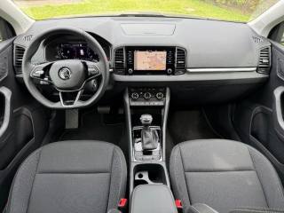 SKODA Karoq usata, con Cruise Control