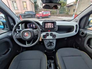 FIAT Panda usata, con Cruise Control