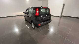 FIAT Panda usata, con Climatizzatore