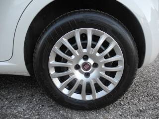 FIAT Punto usata 42