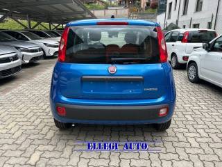 FIAT Panda usata, con Antifurto