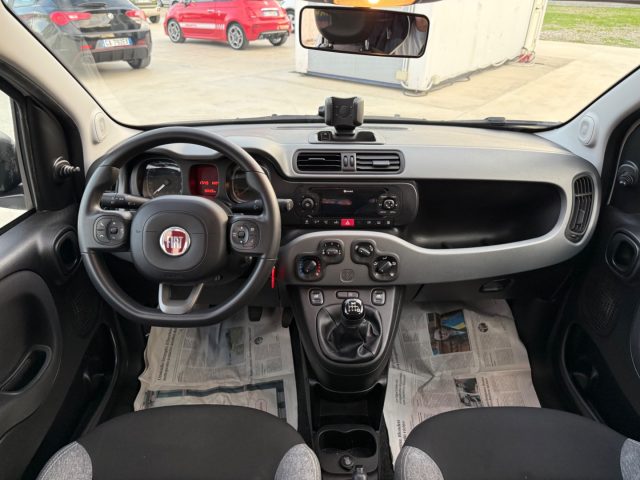 FIAT Panda usata 17