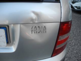 SKODA Fabia usata 53