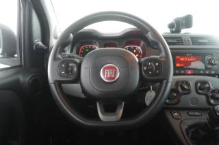 FIAT Panda usata 11
