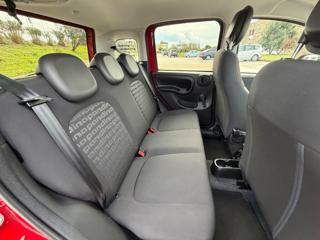 FIAT Panda Cross usata, con Volante multifunzione