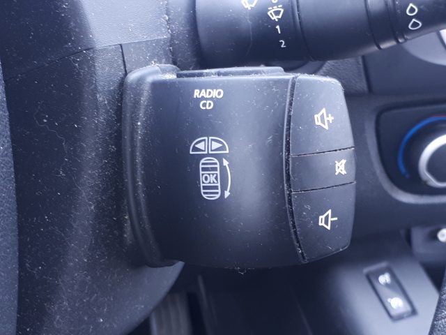 RENAULT Scenic usata, con Cruise Control