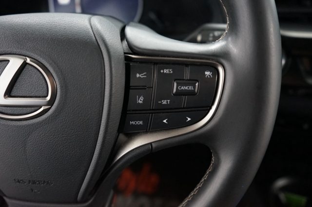 LEXUS UX 250h usata 35