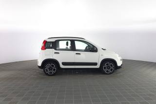 FIAT Panda usata 2