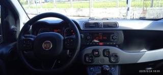 FIAT Panda Cross usata, con Sensori di parcheggio posteriori