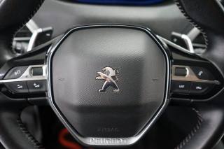 PEUGEOT 3008 usata, con Limitatore di velocità