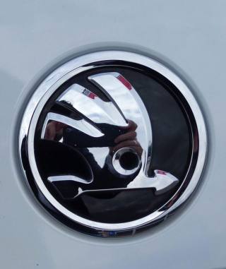 SKODA Octavia usata, con Fendinebbia