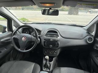 FIAT Punto usata 15
