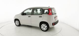 FIAT Panda usata 27