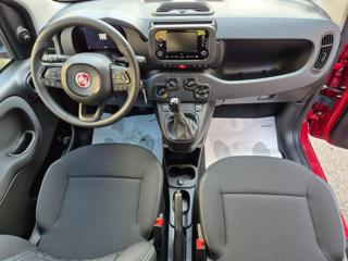 FIAT Pandina usata, con Immobilizzatore elettronico