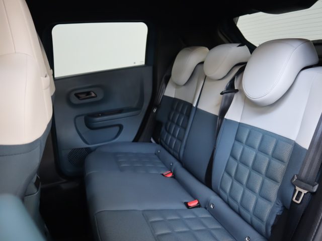 FIAT Grande Panda usata, con Controllo trazione