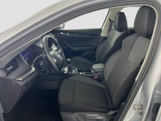 SKODA Octavia usata 8