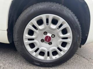 FIAT Panda usata, con Volante multifunzione
